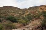 photo thumbnail #3