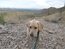 photo thumbnail #1