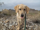 photo thumbnail #3