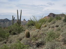 photo thumbnail #4