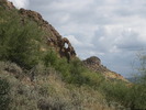 photo thumbnail #5