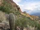 photo thumbnail #8