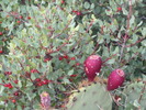 photo thumbnail #3
