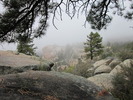 photo thumbnail #6