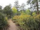 photo thumbnail #12