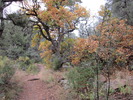 photo thumbnail #13