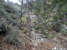 photo thumbnail #4