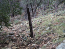 photo thumbnail #10