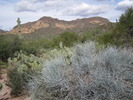 photo thumbnail #7