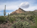photo thumbnail #9