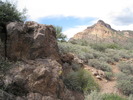 photo thumbnail #1