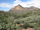 photo thumbnail #3
