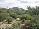 photo thumbnail #7
