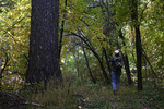 photo thumbnail #1