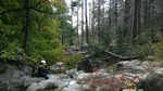 photo thumbnail #10