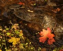 photo thumbnail #2