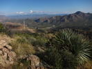 photo thumbnail #5