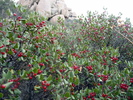 photo thumbnail #7