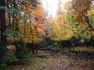 photo thumbnail #1
