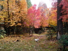 photo thumbnail #8