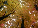photo thumbnail #13
