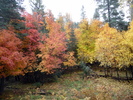 photo thumbnail #14