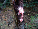 photo thumbnail #15