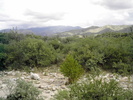photo thumbnail #2