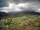 photo thumbnail #10