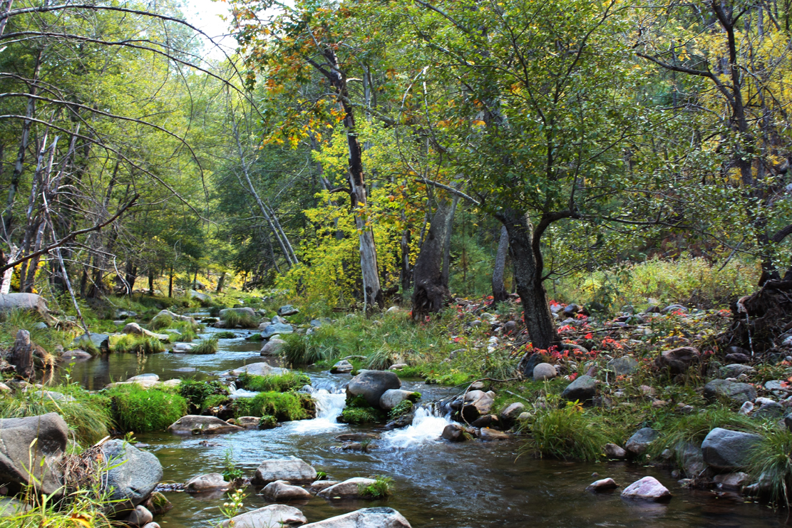 Haigler Creek via Fishermans Point, AZ HikeArizona