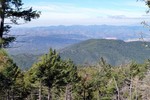 photo thumbnail #8