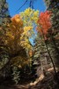 photo thumbnail #12