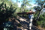 photo thumbnail #3