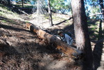 photo thumbnail #4