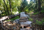 photo thumbnail #8