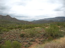 photo thumbnail #2