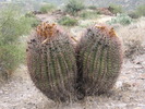 photo thumbnail #11