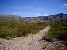 photo thumbnail #3