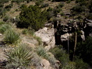 photo thumbnail #11