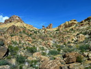 photo thumbnail #14