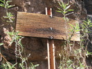 photo thumbnail #11