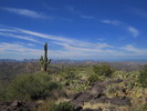 photo thumbnail #8
