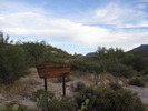 photo thumbnail #12