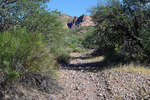 photo thumbnail #3