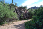 photo thumbnail #7