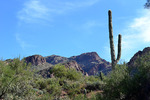 photo thumbnail #8