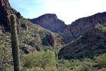 photo thumbnail #13