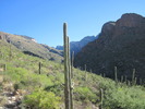photo thumbnail #4