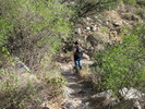 photo thumbnail #5