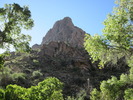 photo thumbnail #8